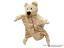 teddybar-pluschtier-handpuppe-MYB23608A|marionetten-puppen.de|Galerie-der-Tschechischen-Marionetten 